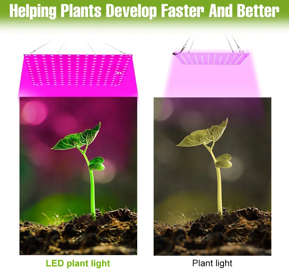 100W 50W LED Full Spectrum Indoor Grow Light Quantum Plate Plant Lamp Greenhouse Flower Succulents Potted Cultivation US/EU Plug