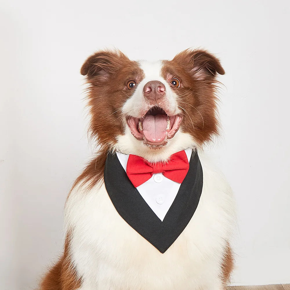 Sucado Handsome Wedding Pet Dog Bandana Elegant Suit Bowtie Luxury Triangular Scarf Collar Engagement Party Gifts Accessories