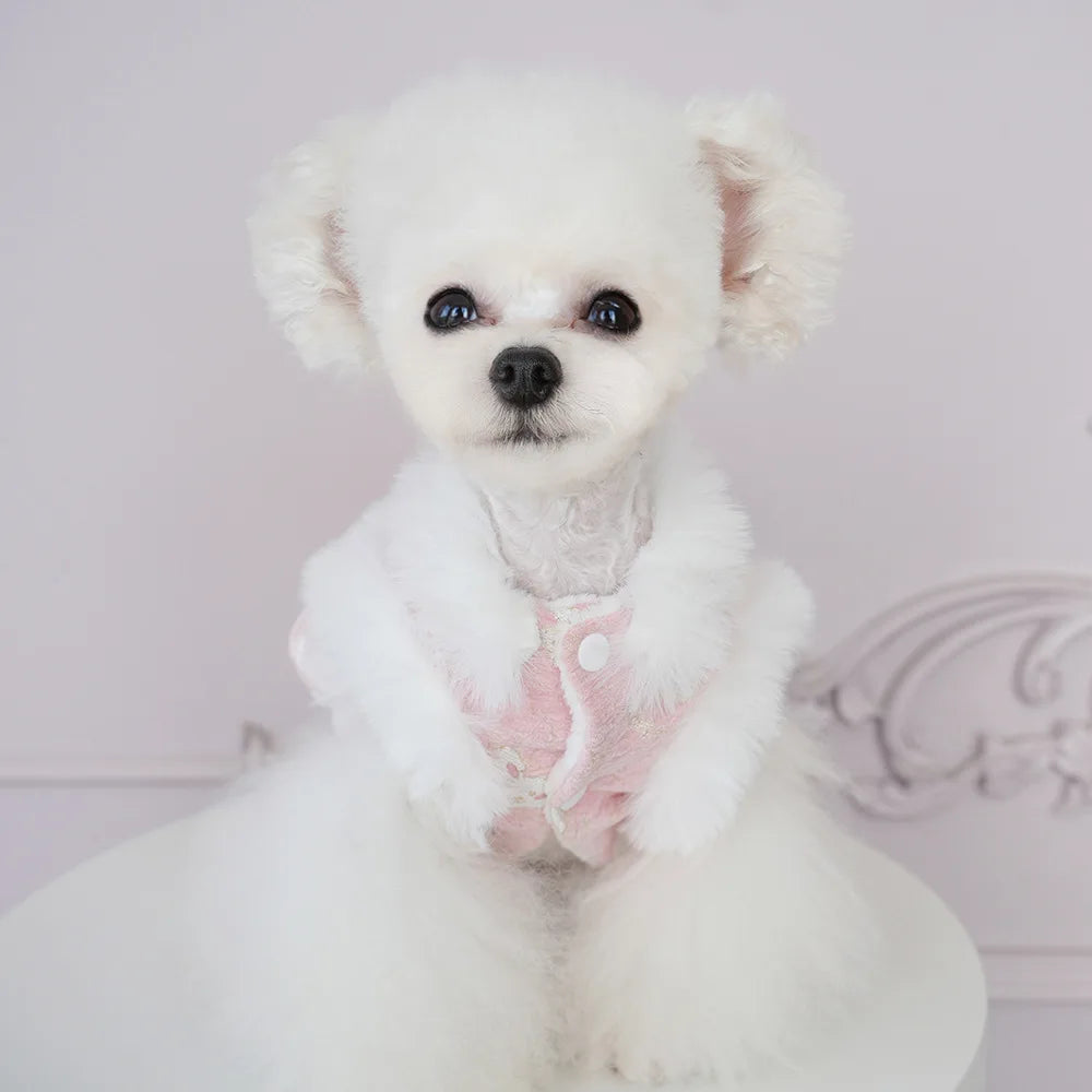 Pet Flannel Dress Rabbit Butterfly Tang Dress Princess New Year Small Medium Dog Coat Puppy Clothes Chinese Style Pet Skirt