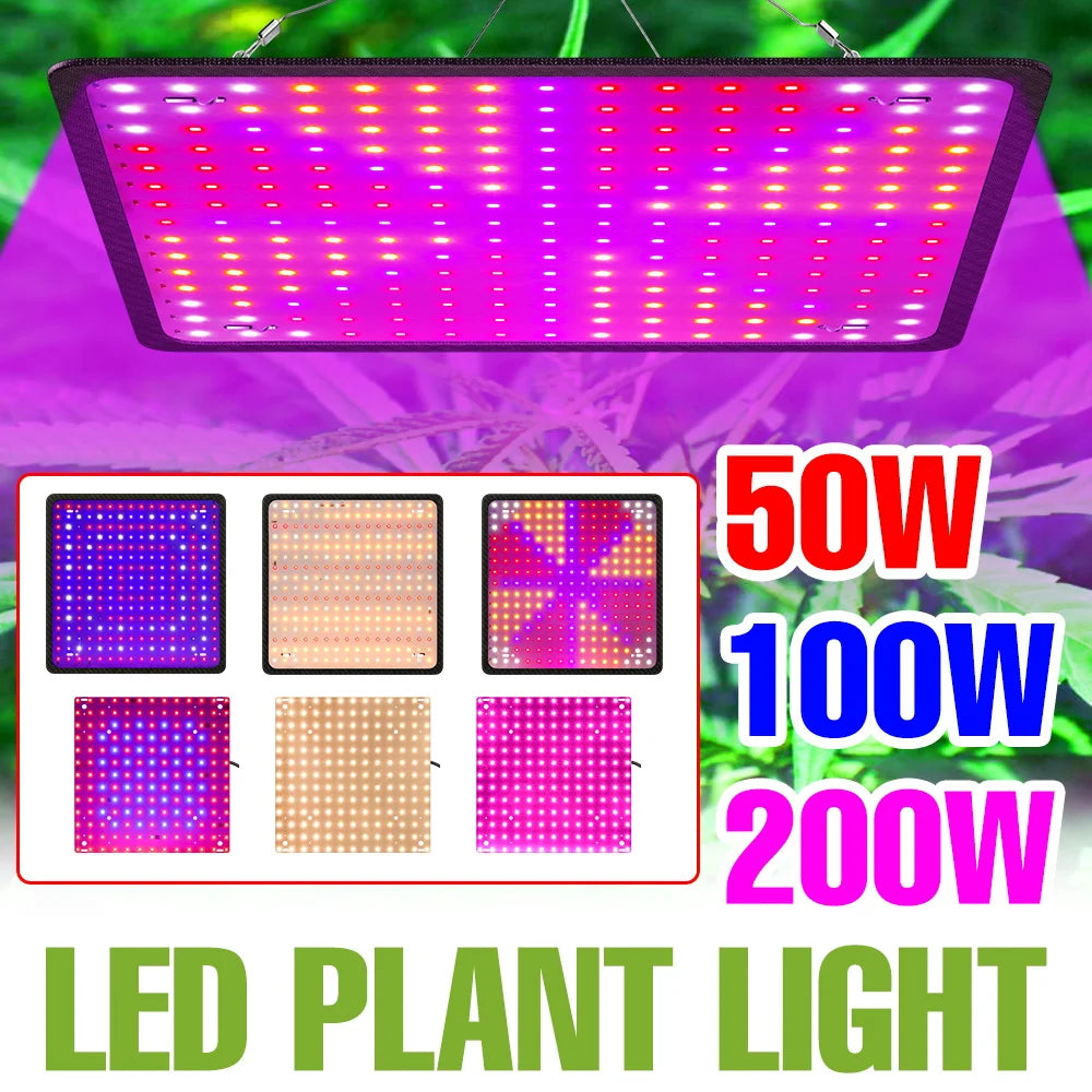 200W LED Grow Light Full Spectrum Quantum Board Plant Cultivation Lamp For Indoor Potted Flower Greenhouse Tent Tomato Vegetable