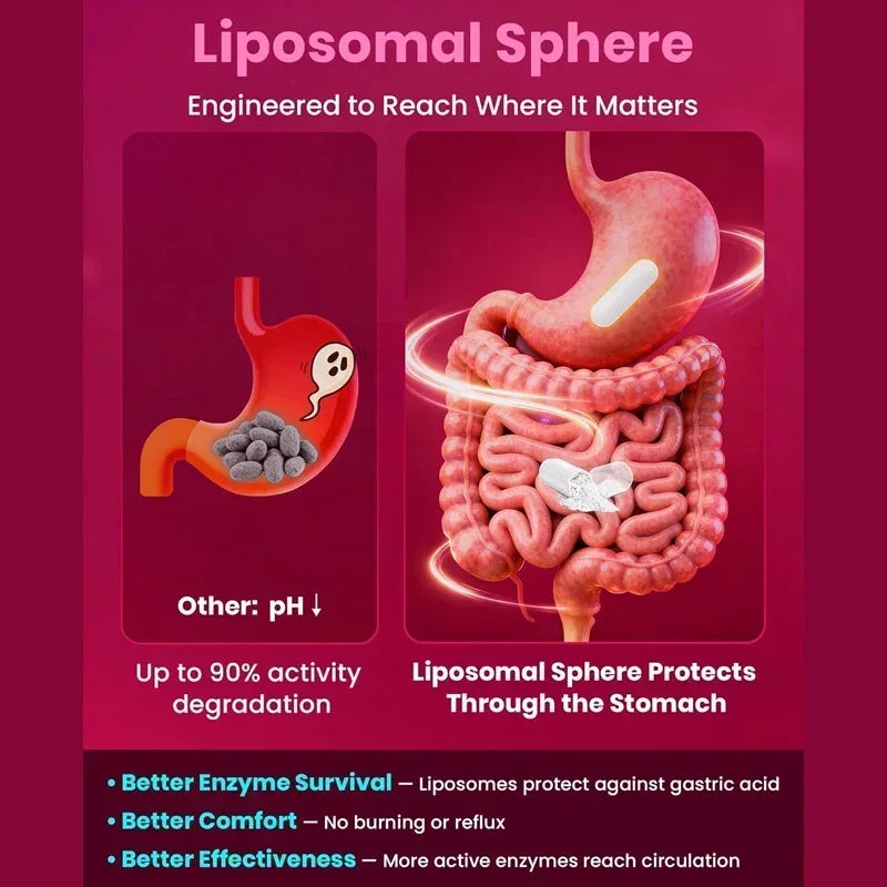 Liposomal Enzyme Blend Capsules Nattokinase Vitamin C B6 Magnesium, Support  Vascular, Enhance Digestion & Circulation  Health