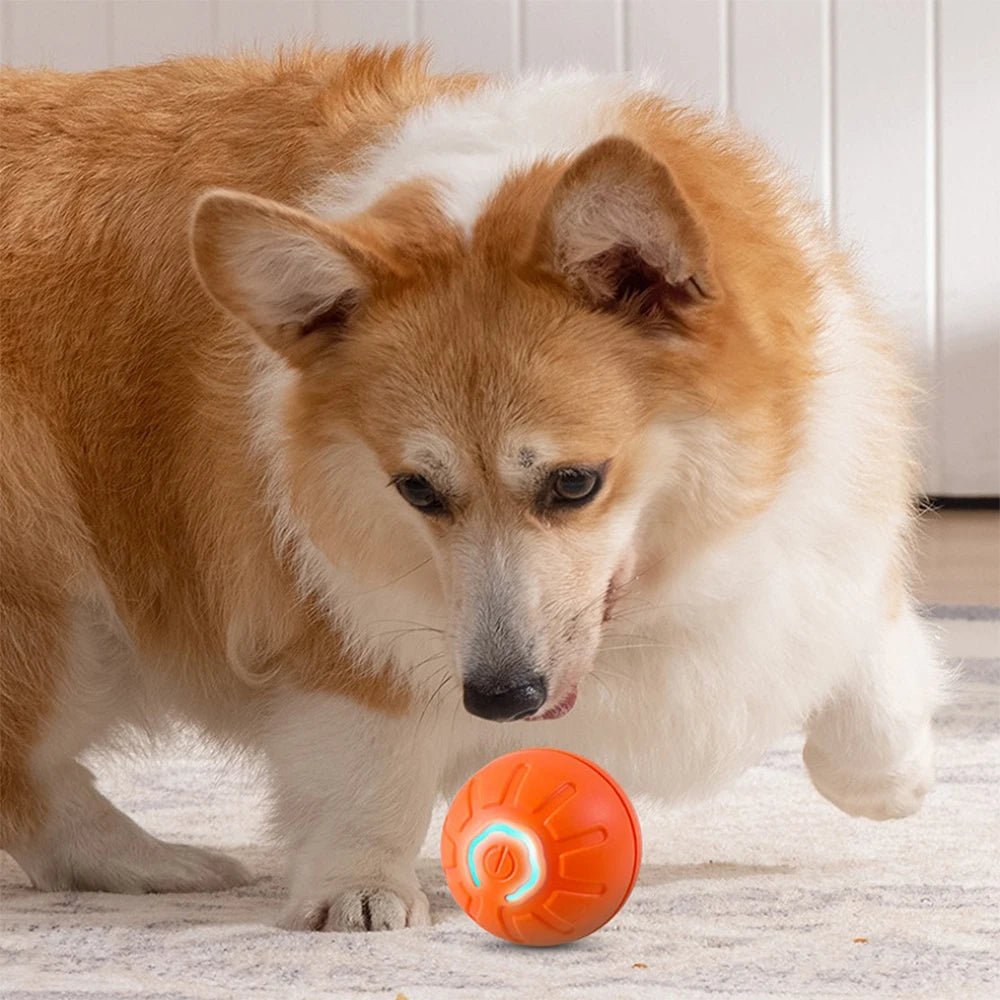 Smart Dog Toys Ball Electronic Interactive Pet Toy Moving Ball USB Automatic Moving Bouncing for Puppy Birthday gift Cat Product