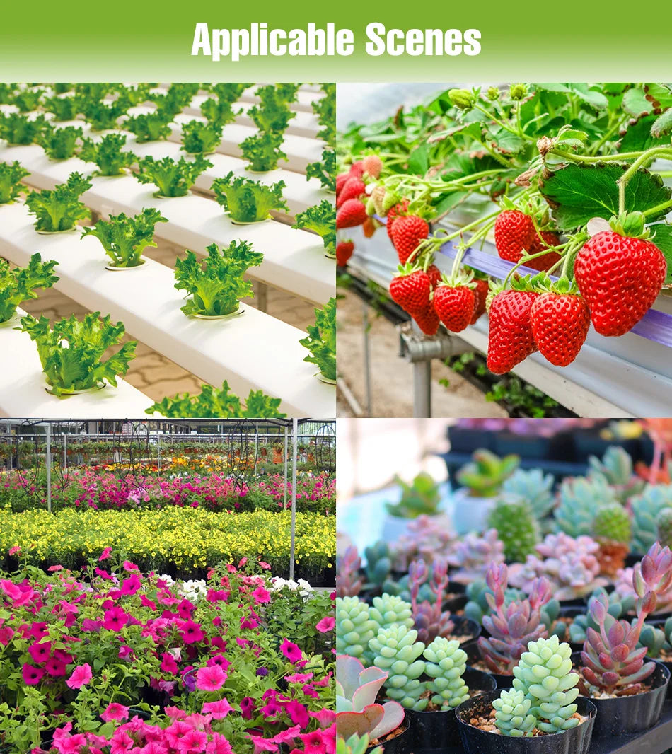 600W LED Grow Lights Full Spectrum Plant Cultivation Lamp 220V Indoor Greenhouse Tent Hydroponics Succulent Vegs Fill Lighting