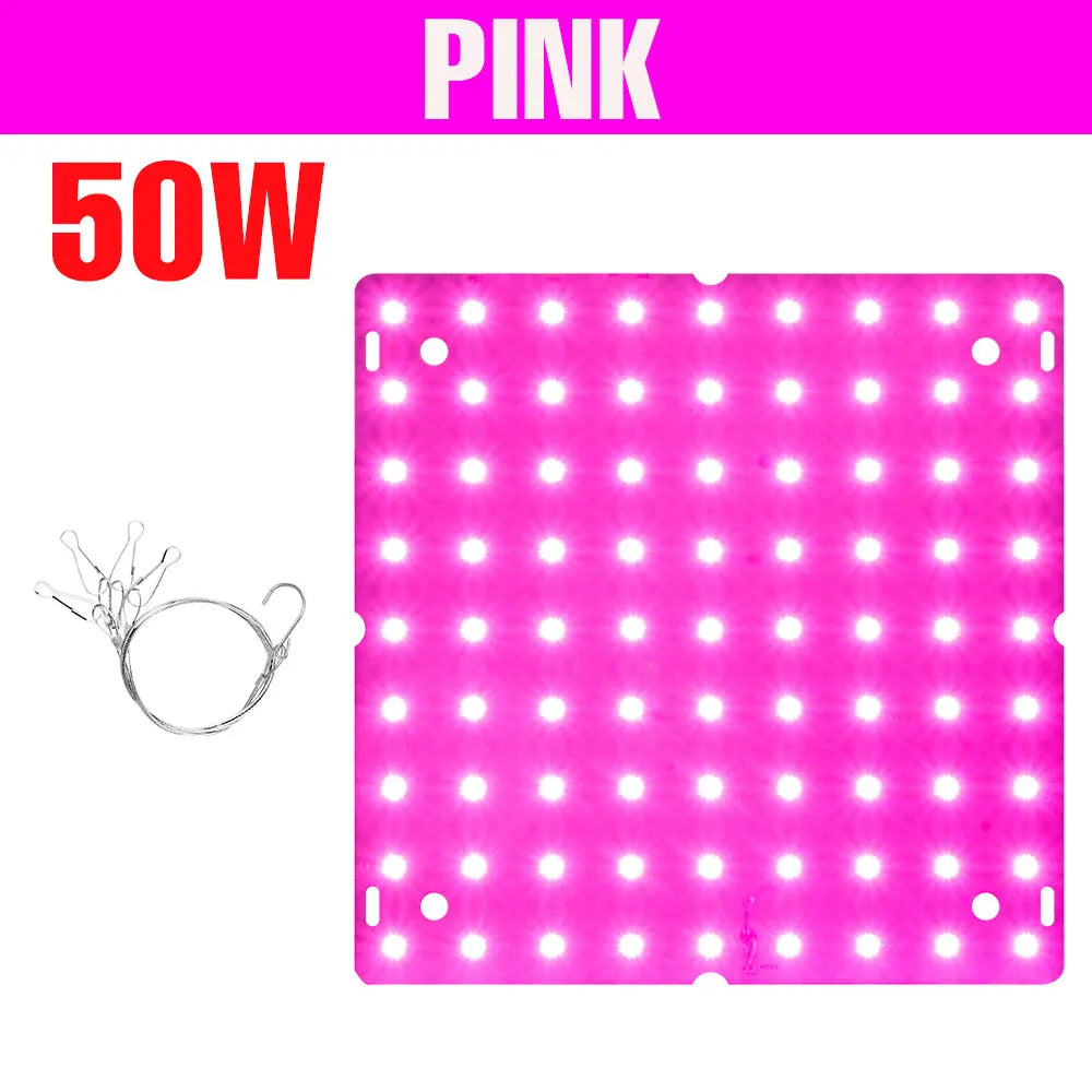 200W LED Grow Light Full Spectrum Quantum Board Plant Cultivation Lamp For Indoor Potted Flower Greenhouse Tent Tomato Vegetable