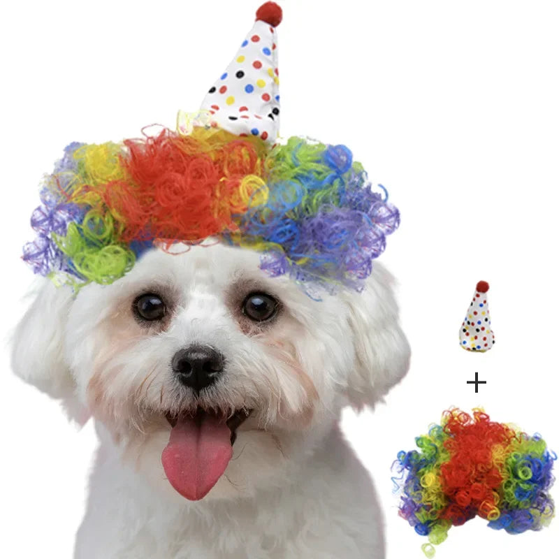 Funny Pet Cosplay Dog Wig Cat Grooming Supplies Fashion Headwear Halloween Curly Hair Straight Hair Cat Accessories Perros