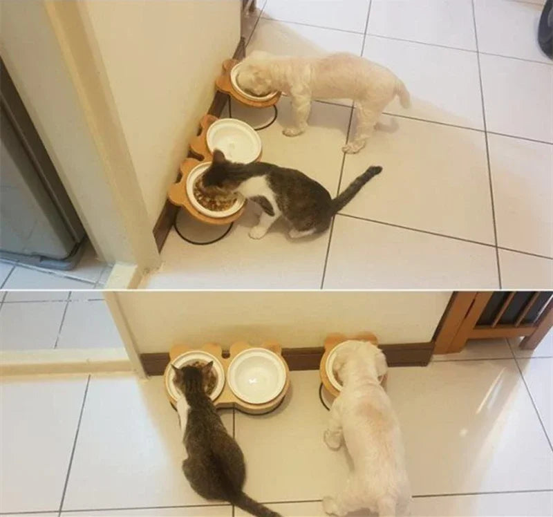 Ceramic Cat Bowl Cat Food Feeder Dog Bowls Drinking Water Bowl Cervical Protection Pet Supplies Ceramic Double Cat Bowls