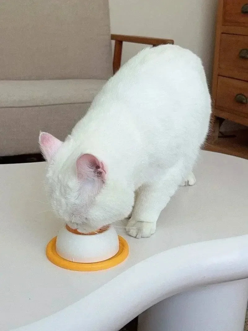Pet Lick Feeder Bowl Slow Feeder for Dogs Cats Anti Anxiety Interactive Treat Toy Non-Slip Suction Licking Mat for Oral Care