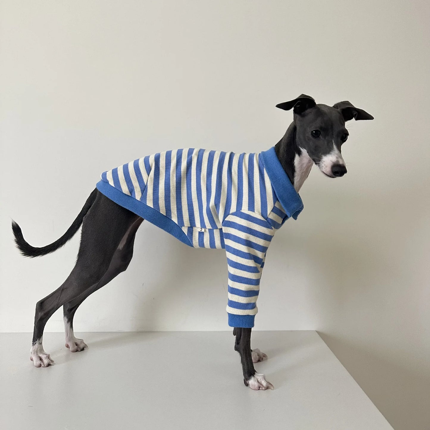 Pet POLO shirt pure cotton fabric stretch Italian Greyhound Whippet Bedlington Terrier dog clothes