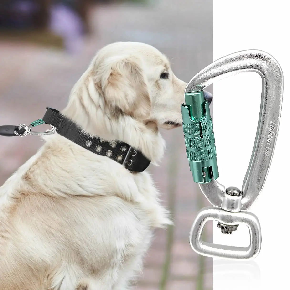 Safety Carabiner Clip Auto Locking 360 Rotational Hook 4KN Pull for Dog Leash Hammocks Backpacks Outdoor Climbing Accessories