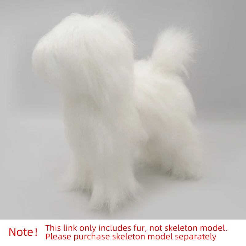Pet Simulation Hair Beauty Practice Dog Standard Teddy Whole Body Fake Hair Only Pet Grooming Trimming Practice with Model Dog
