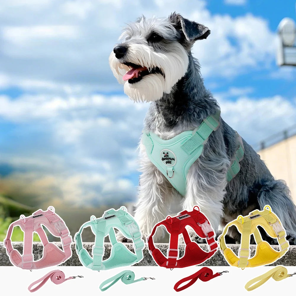 Pastel Dog Harness Leash Set- Soft Macaron Color No-Pull Vest for Small Medium Dogs - Cute Adjustable Pet Leash Set