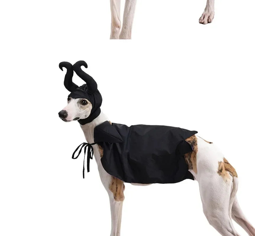 Halloween Witch-Shaped Costume cat Purple Vampire Cape Puppy Wizard Devil Horns Hat Pet Holiday Outfit for Small Middle-Sized Do