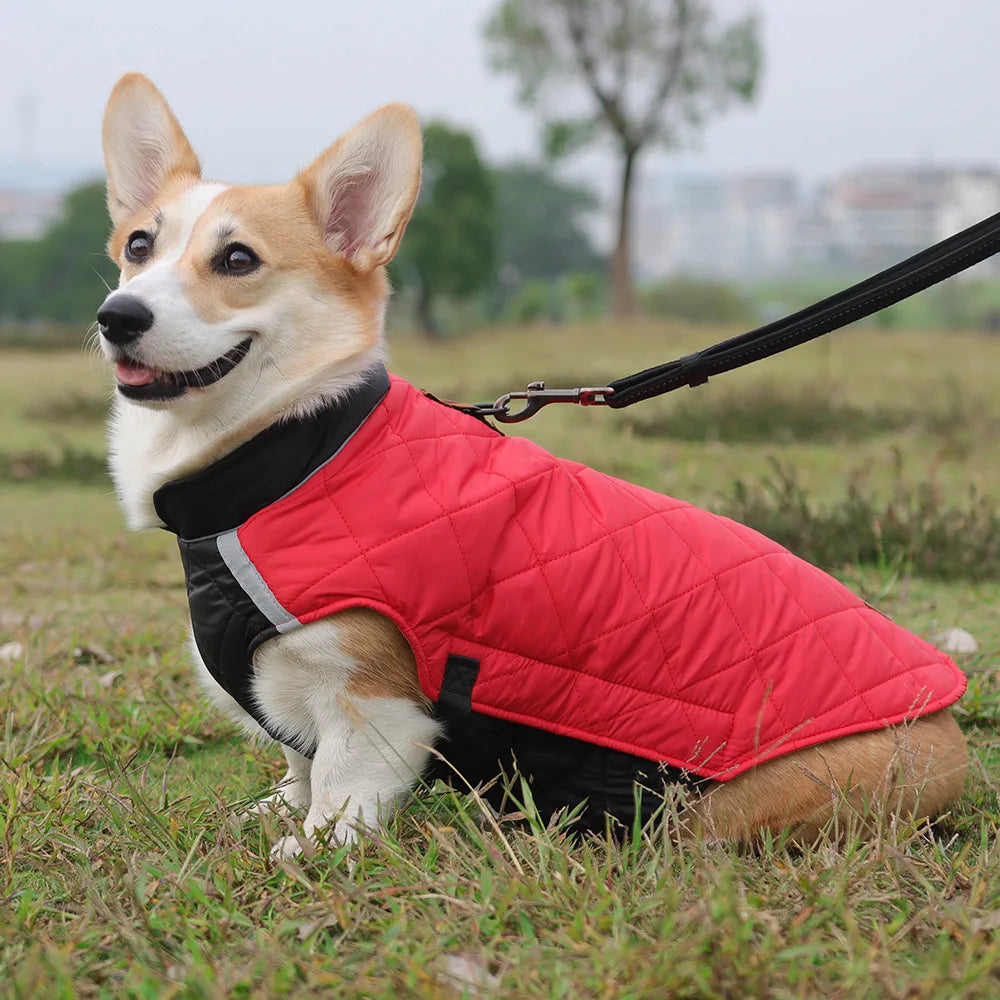 New Winter Pet Dog Clothes Thickened Fighting Dog Clothes Reflective Dog Cotton Clothes Pet Clothes