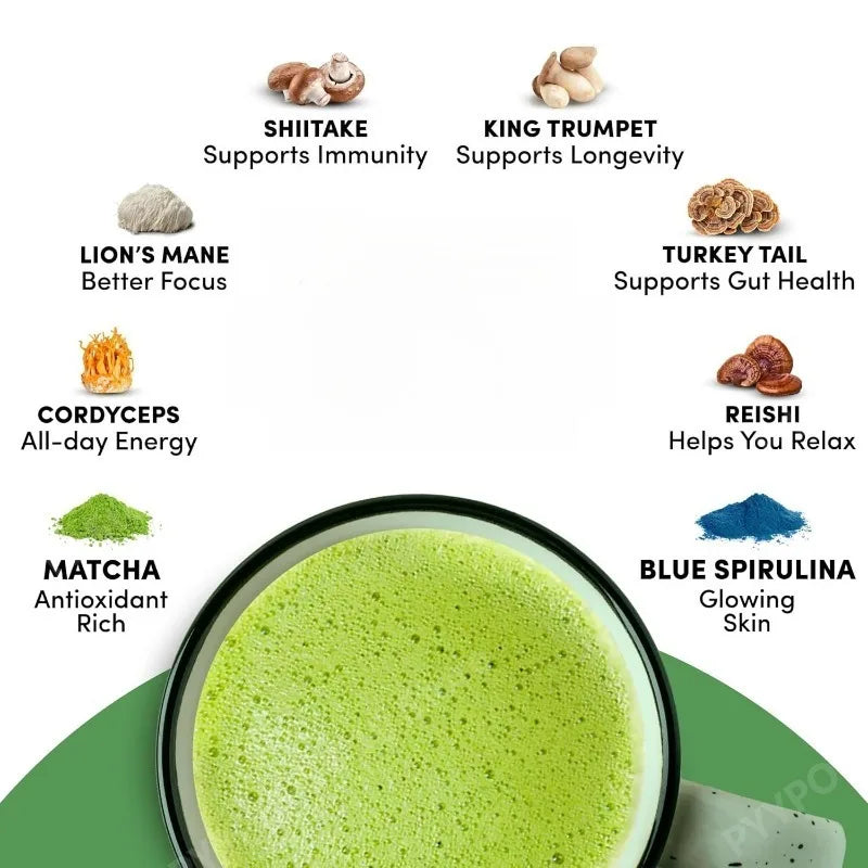 Organic Mushroom Matcha Supplement with Ganoderma Lucidum Lion’s Mane 180g of Natural Nutrients