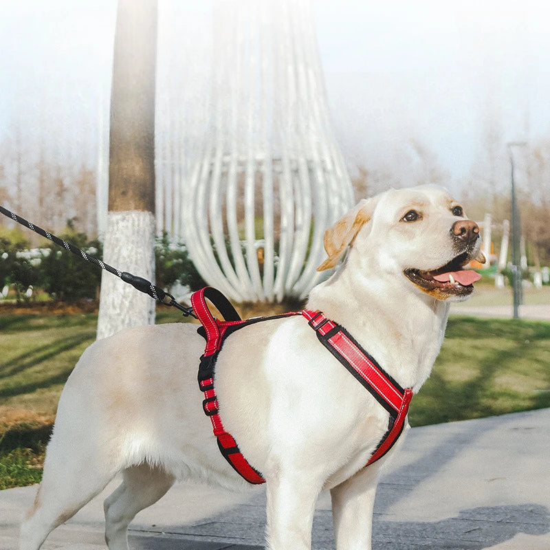 Heavy Duty Dog Harness with Front Clip No Pull Walking Vest for Large Dogs Adjustable Easy Control Handle Pet Training Gear
