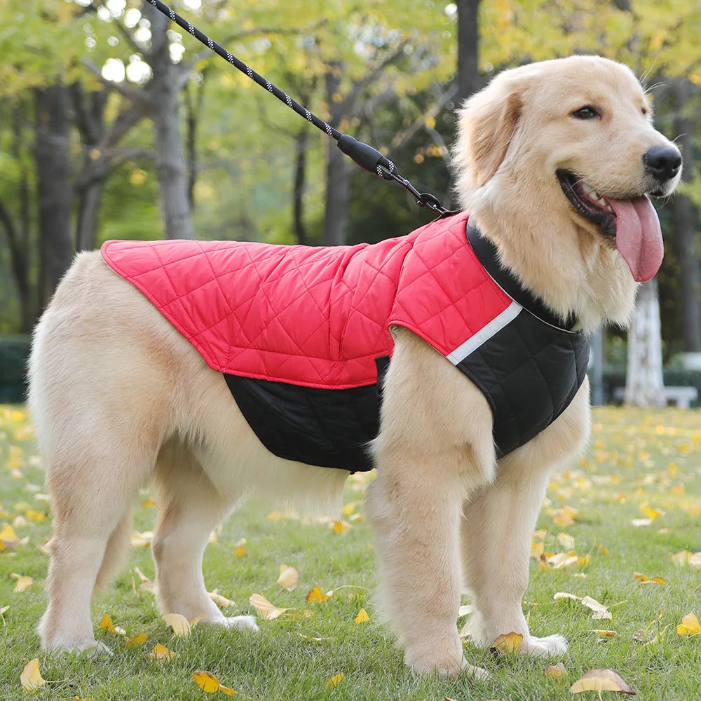 New Winter Pet Dog Clothes Thickened Fighting Dog Clothes Reflective Dog Cotton Clothes Pet Clothes