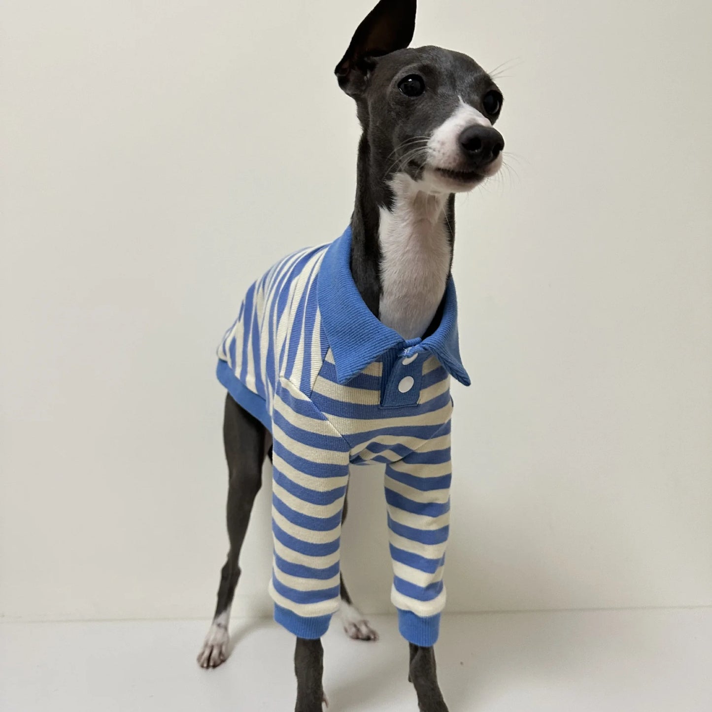 Pet POLO shirt pure cotton fabric stretch Italian Greyhound Whippet Bedlington Terrier dog clothes