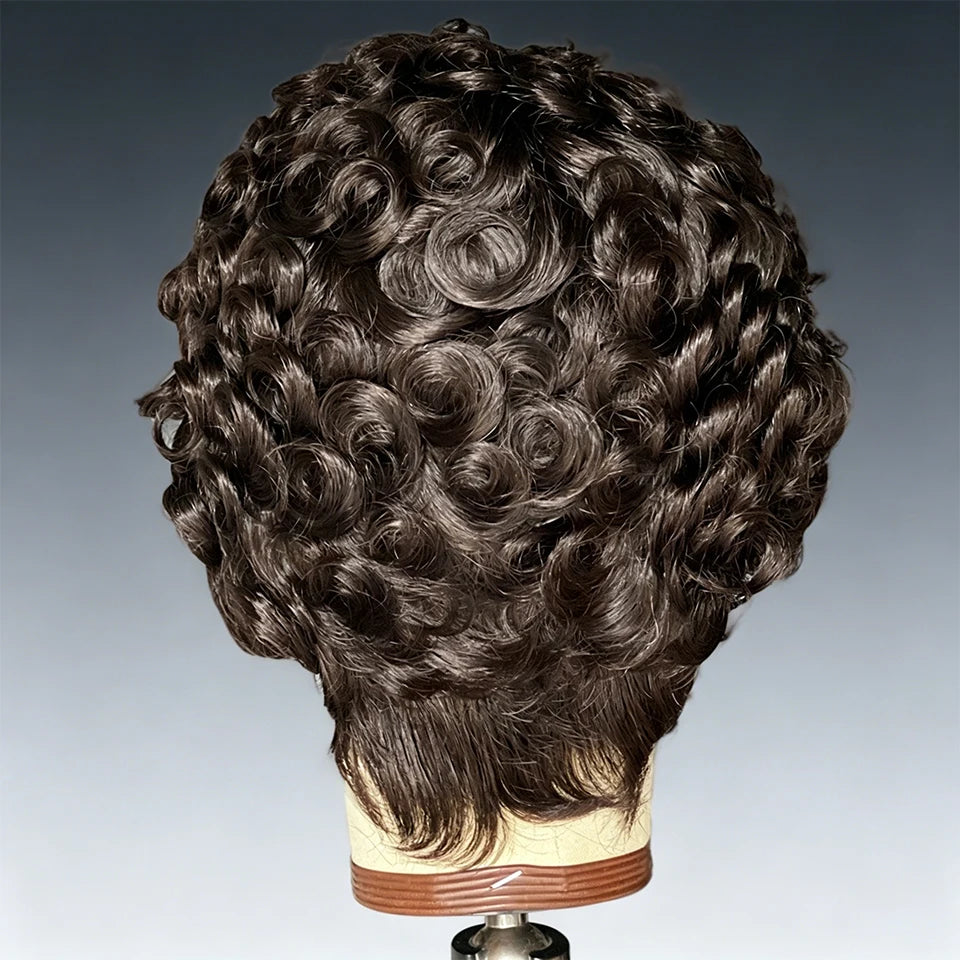 Phashion 13x4 Chioma Pixie Curly Cut Short Wigs Lace Frontal Wig Density Human Hair For Women Transparent Swiss Ready To Wear