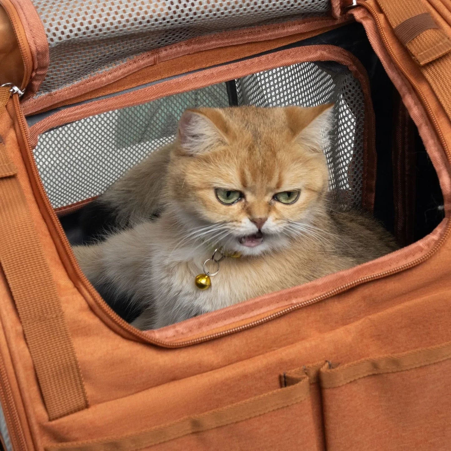 Cat Backpack Carrier, Expandable Pet Carriers for Cats,Hiking Travel Carrier Bag for Small Animal, Airline Approved Cat Carrier