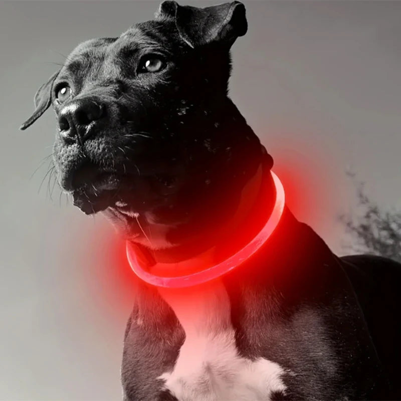 Led Luminous Dog Collar Rechargeable Cat Collar 3 Modes Anti-lost Night Collar Pet Supplies Suitable For Large Medium Small Dogs