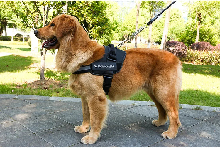 K9 Tactical Dog Harness and Leash Anti-Pull for Golden Retriever Pomeranian Adjustable Pet Walking Rope for Large Dogs