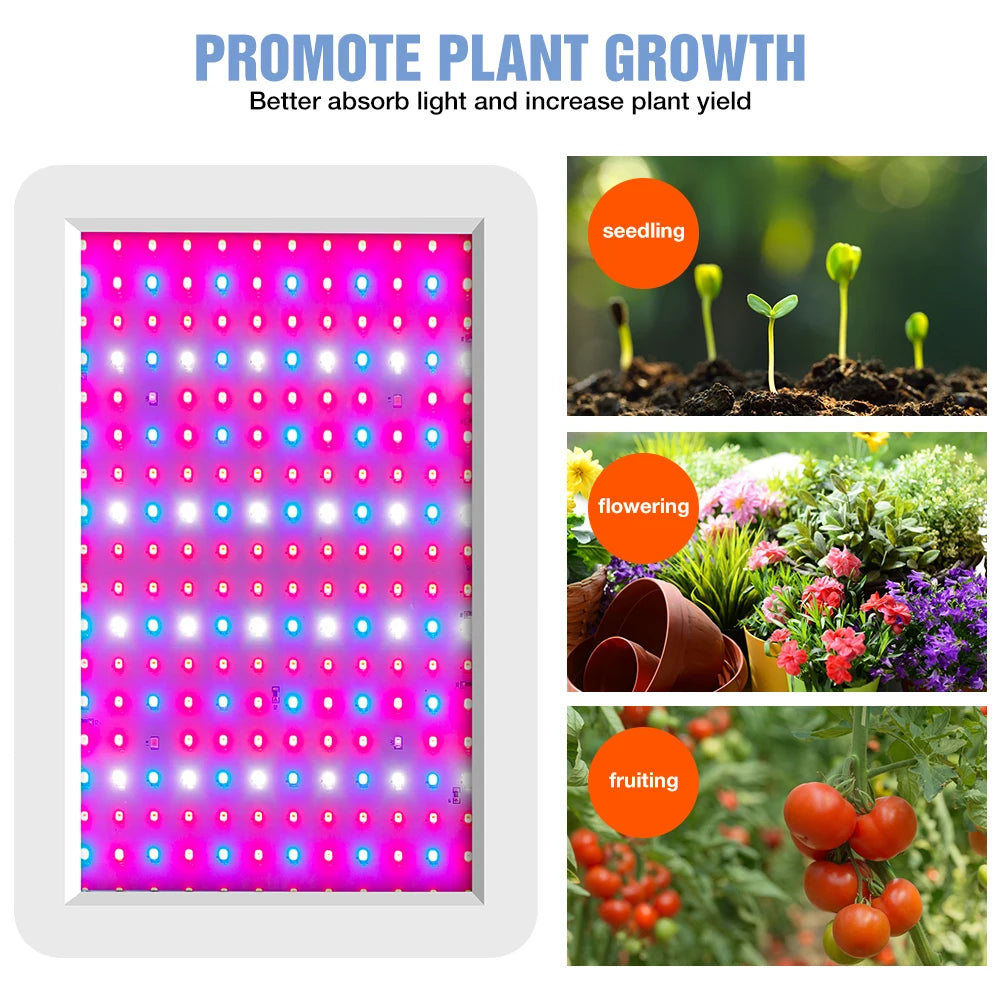 500W 300W LED Full Spectrum Plant Grow Light IR UV Indoor Flower Hydroponics Greenhouse Tent Vegetables Cultivation Growing Lamp