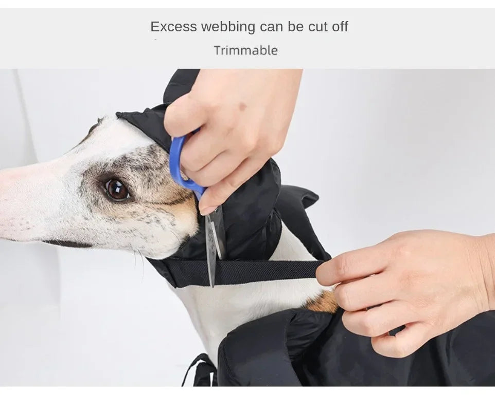 Halloween Witch-Shaped Costume cat Purple Vampire Cape Puppy Wizard Devil Horns Hat Pet Holiday Outfit for Small Middle-Sized Do