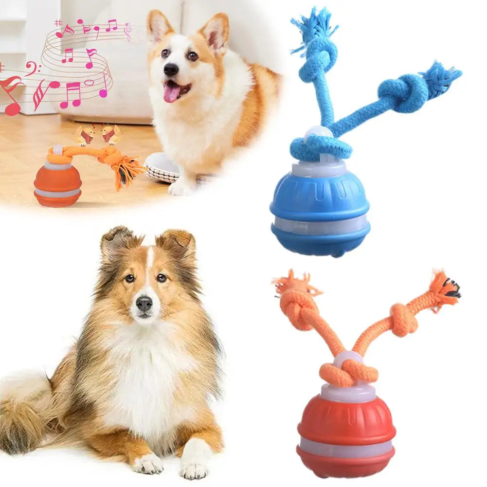 Pet Ball for Dogs Interactive Toys Motion Activate Rolling Ball for Puppy/Small Dogs Automatic Moving Toy USB Rechargeable Toy