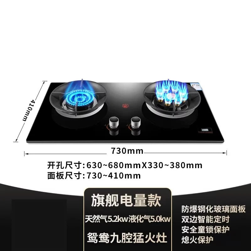 Gas stove, double burner, household LPG tabletop/natural gas stove, high-power built-in gas stove