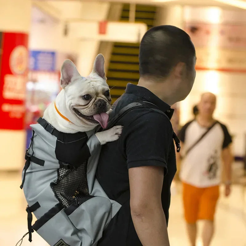 Breathable Large Dog Backpack Carrier - Durable Adjustable Outdoor Hiking Dog Bag Perfect for Large Golden Retriever & Bulldog