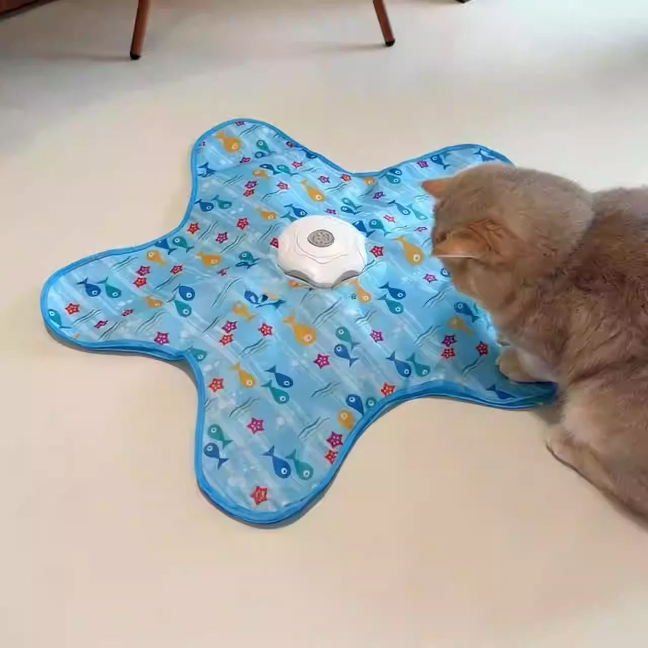 Cat and Dog Toy Interactive Hide and Seek Cat Toy with Mouse Squeak Motion Activated Mobile Hidden Feather Kitten Teasing Toy