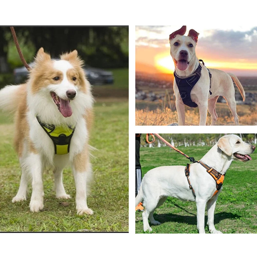 Dog Vest-Style Harness Leash, Pet Vest Leash, Four-Color Optional Nylon Material Dog Harness, Suitable for Medium and Large Dogs, Dog Harness Pet Supplies