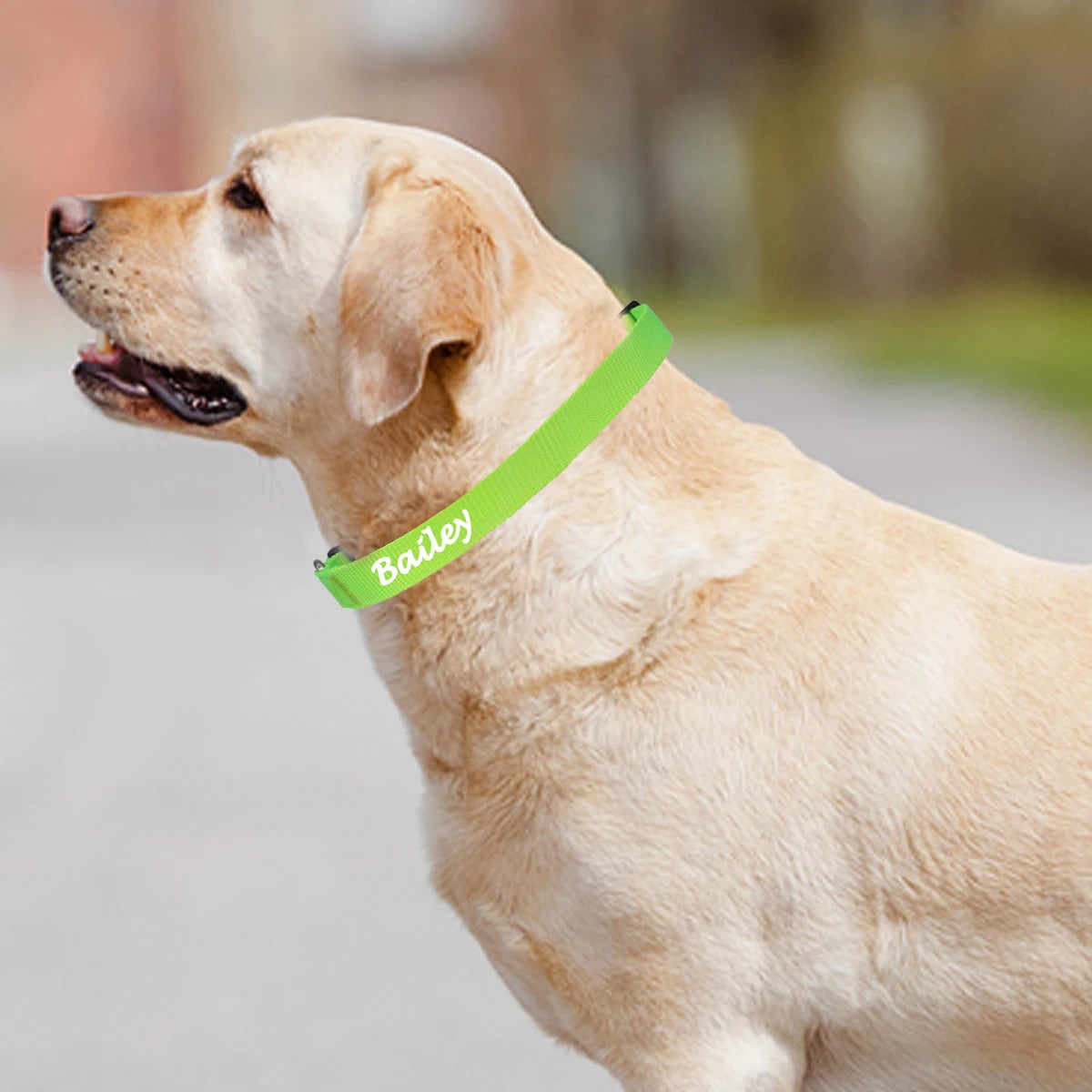 Personalized Customized Nameplate Dog Collar Soft Dogs Collars Free Customized ID Name for Small Medium Dogs Adjustable Colorful