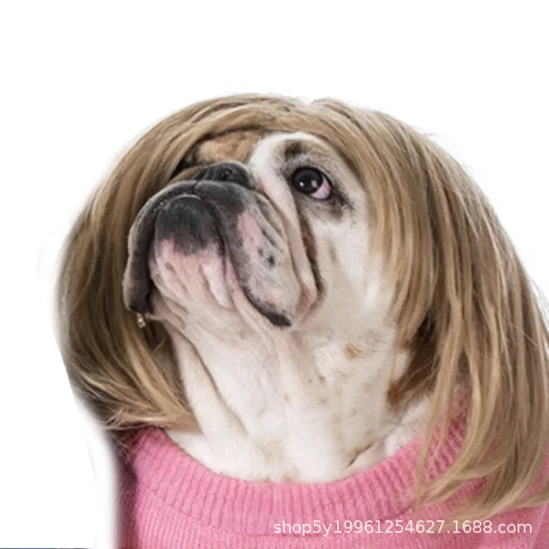 Funny Pet Cosplay Dog Wig Cat Grooming Supplies Fashion Headwear Halloween Curly Hair Straight Hair Cat Accessories Perros