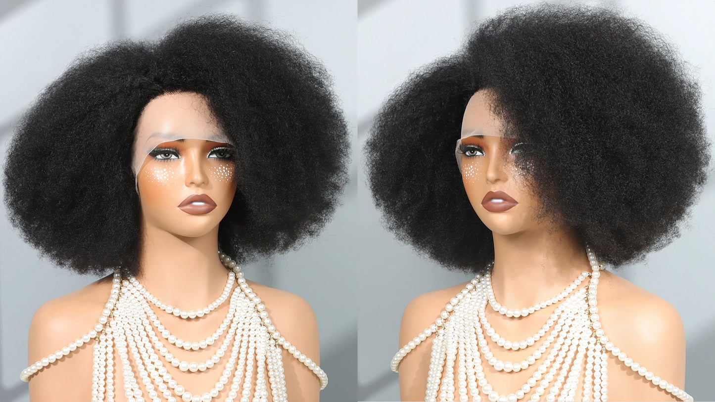 13x5x2 Side T Part Lace Wigs Afro Kinky Curly Short Bob Wig Human Hair Wigs 14 Inch Short Curly Afro Wigs for Woman 250 Density