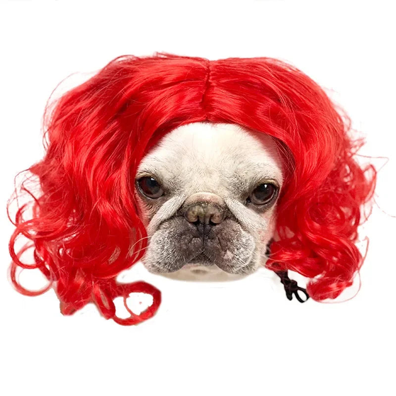 Funny Pet Cosplay Dog Wig Cat Grooming Supplies Fashion Headwear Halloween Curly Hair Straight Hair Cat Accessories Perros