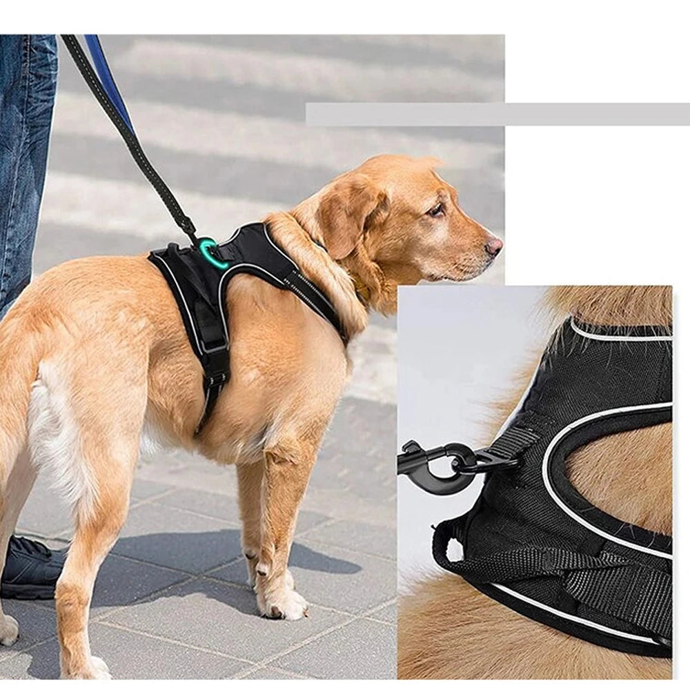 Dog Vest-Style Harness Leash, Pet Vest Leash, Four-Color Optional Nylon Material Dog Harness, Suitable for Medium and Large Dogs, Dog Harness Pet Supplies