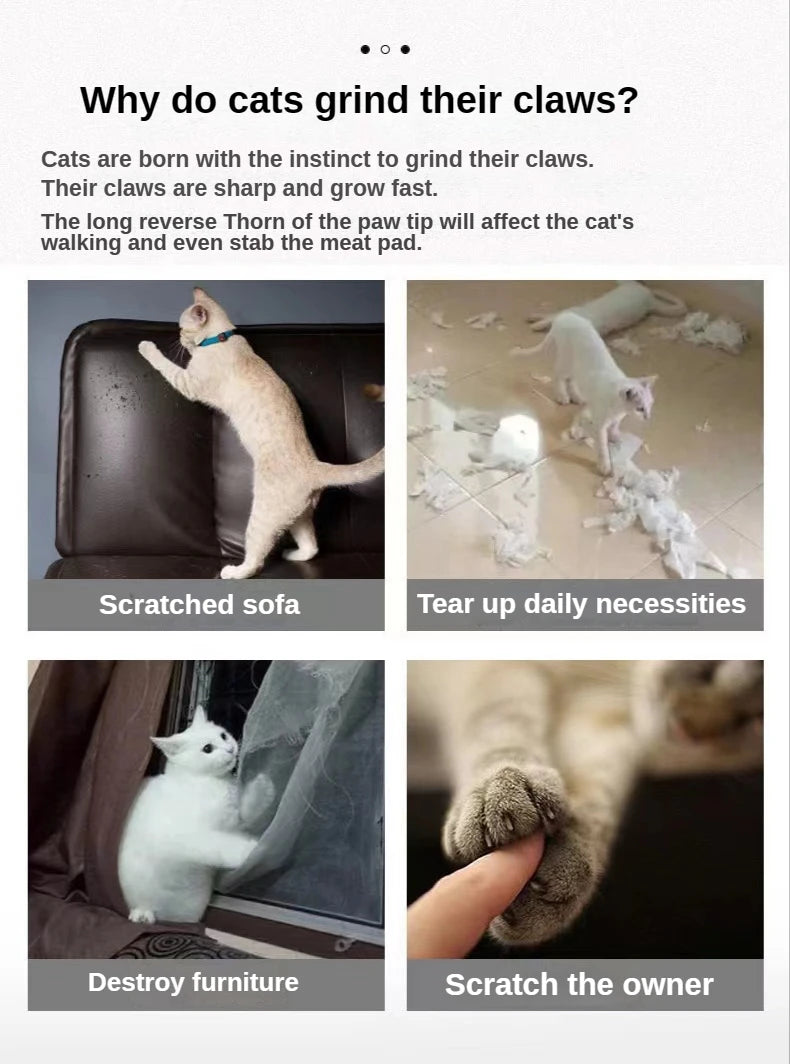 Pet Cat Scratching Corrugated Board Grinding Claw Plate+Catnip Paper Pad Climbing Frame Scraper Mat Cat Cardboard Cat Toys