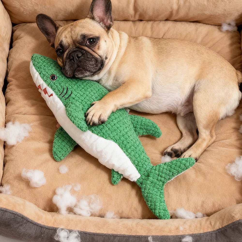 Pet Chew-Resistant Plush Interactive Toy with Sound, Parrot-Shaped, Suitable for Large, Medium, and Small Pets Like Cats and Dogs, Double-Layer Fabric, Built-In Airbag