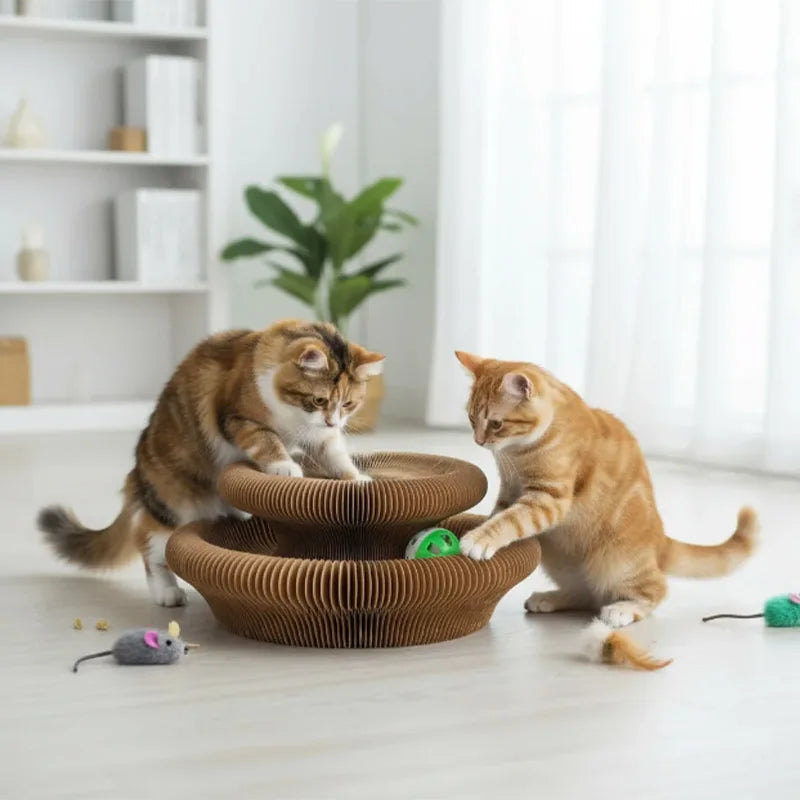 Magic Cat Scratch Organ Board Cat Toy with Ball Cat Grinding Claw Cat Climbing Frame Kitten Round Corrugated Cat Scratching Toy
