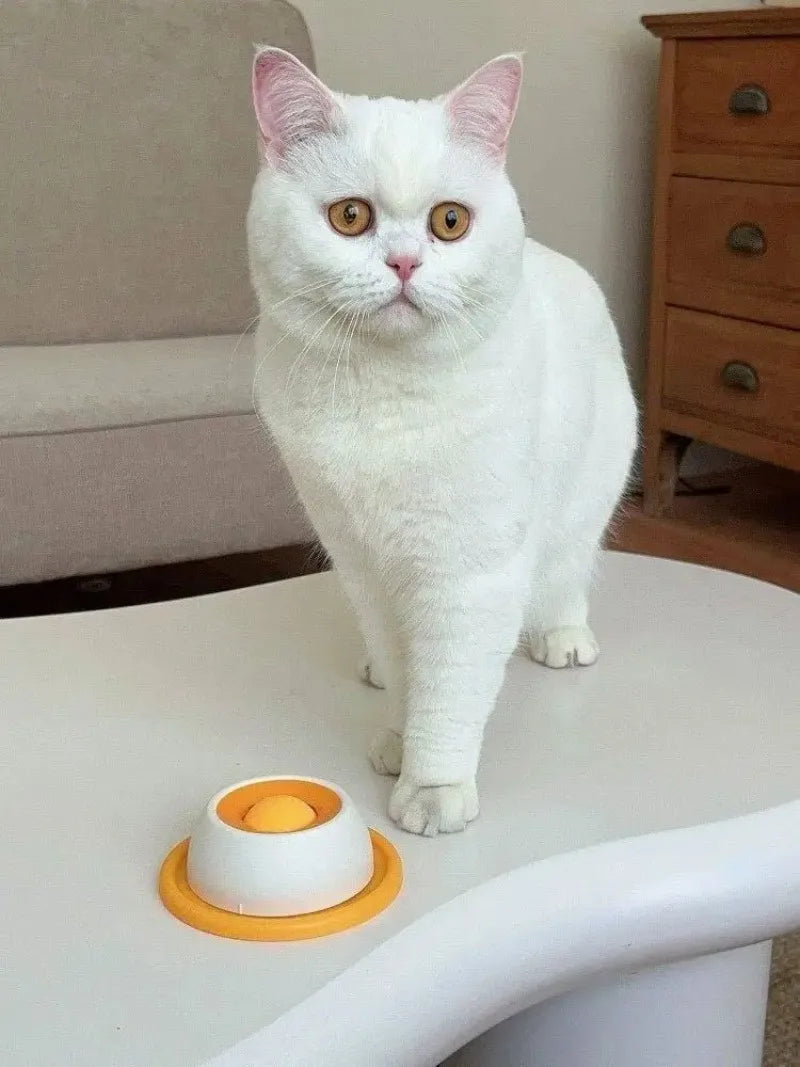 Pet Lick Feeder Bowl, Non-Slip Slow Feeder for Dogs Cats, Interactive Treat Toy for Oral Stimulation & Anxiety Relief