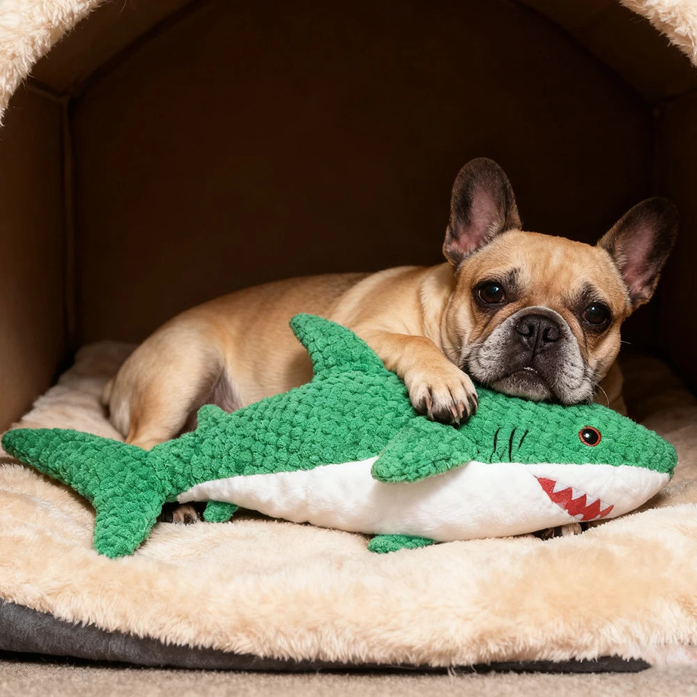 Pet Chew-Resistant Plush Interactive Toy with Sound, Parrot-Shaped, Suitable for Large, Medium, and Small Pets Like Cats and Dogs, Double-Layer Fabric, Built-In Airbag