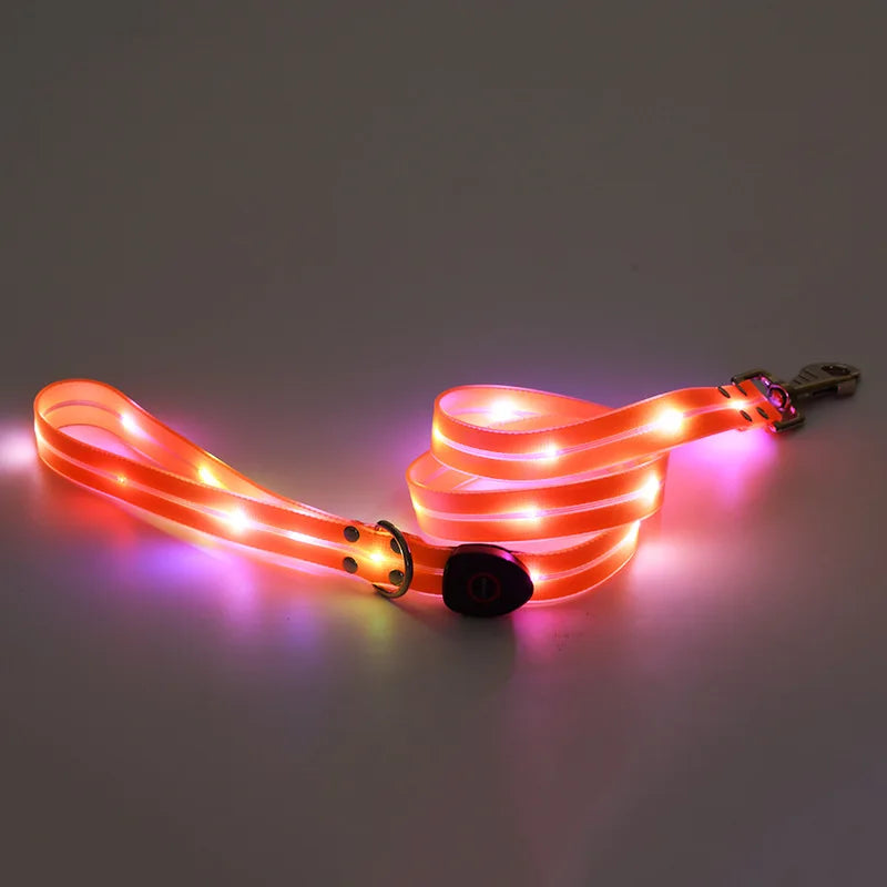 Pet Light-up Collar Leash LED Flashing Collar USB Charging Dog Walking Pulling Belt Adjustable Dog Collar Anti-Lost Pet Supplies