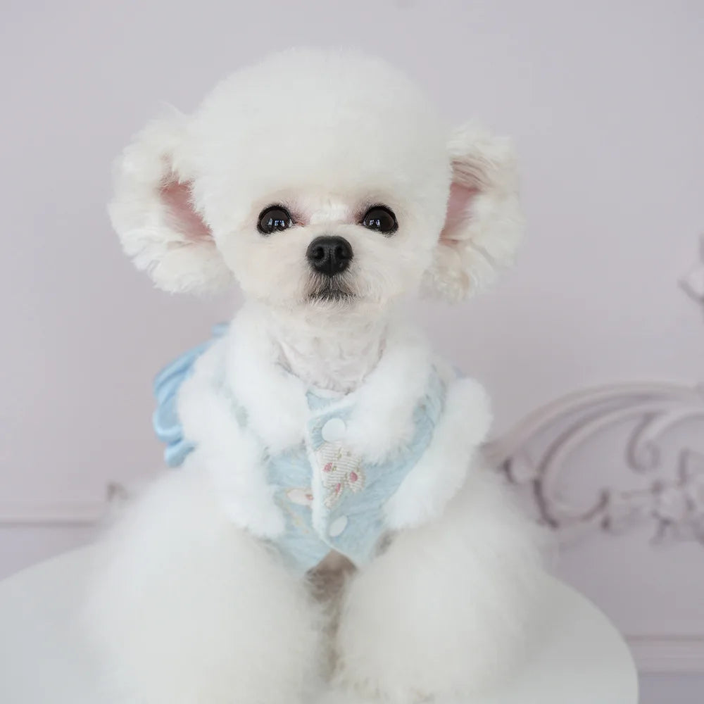 Pet Flannel Dress Rabbit Butterfly Tang Dress Princess New Year Small Medium Dog Coat Puppy Clothes Chinese Style Pet Skirt