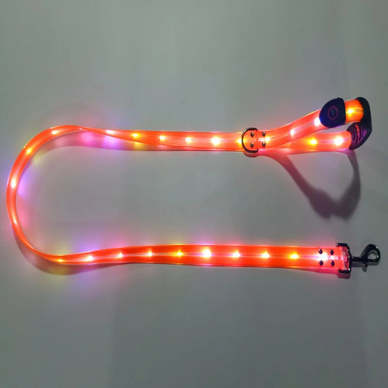 Pet Light-up Collar Leash LED Flashing Collar USB Charging Dog Walking Pulling Belt Adjustable Dog Collar Anti-Lost Pet Supplies