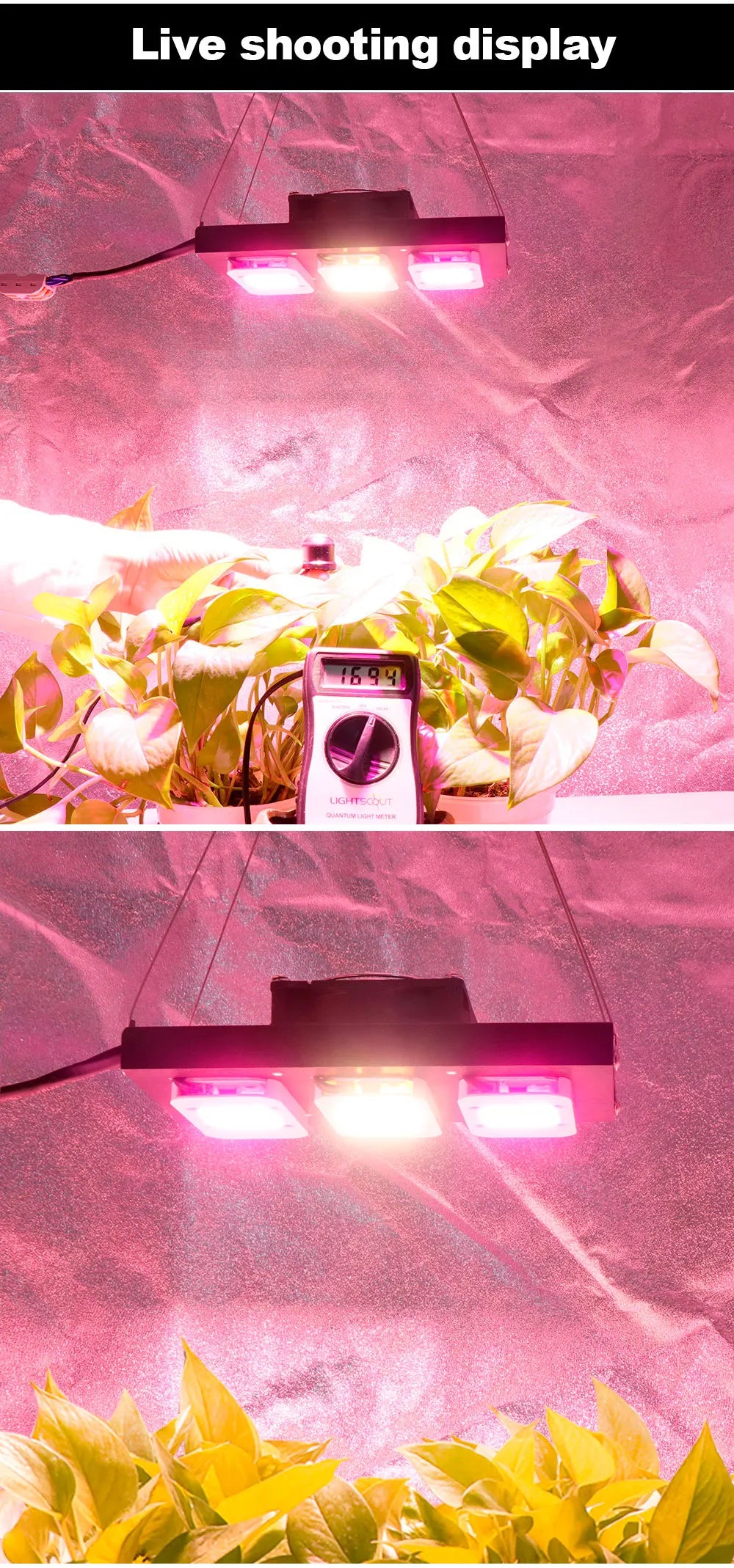 DIYLED Grow Light Dimmable 1500W DOB Full Spectrum Grow Hight PPFD Phytolamp For Flowers Greenhouse grow led Plants Veg Blooming