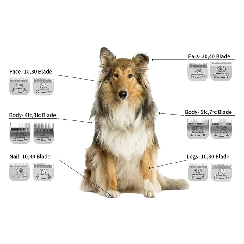 Detachable Pet Dog Grooming Clipper Ceramic Edge Blade Compatible with most Andis,Oster A5,Wahl KM10 Series Clippers