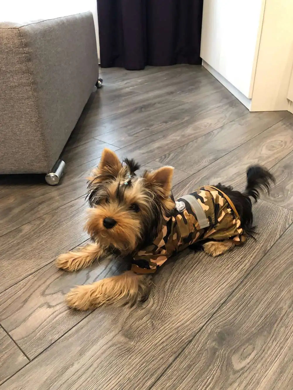 Dog Raincoat Puppy Rain Coat with Hood Reflective Waterproof Dog Clothes Soft Breathable Pet Cat Small Dog Rainwear XS - 5XL