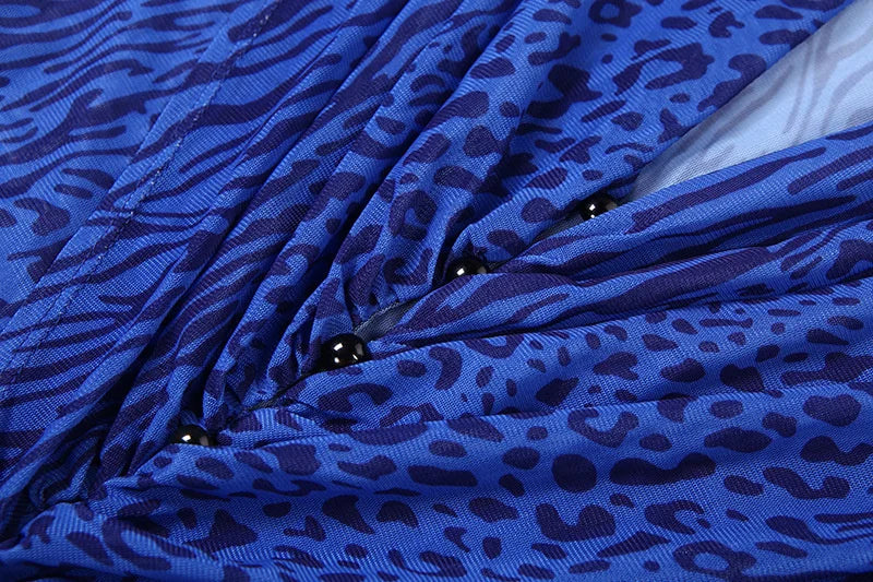 Mozision Deep V Neck Long Sleeve Sexy Maxi Dress Women Gown Elegant Leopard Print Mesh See Through Club Party Long Dresses