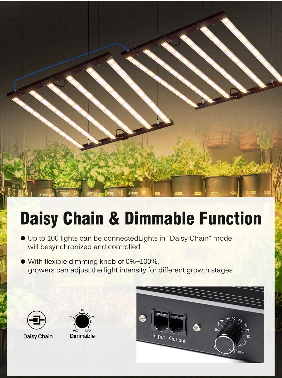 Full Spectrum LED Grow Light 360W 720W AC100-277V 660nm 730nm 395nm LM281B High PPFD Growth Lamp For Greenhouse Plants